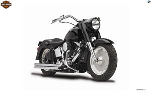 Harley Davidson